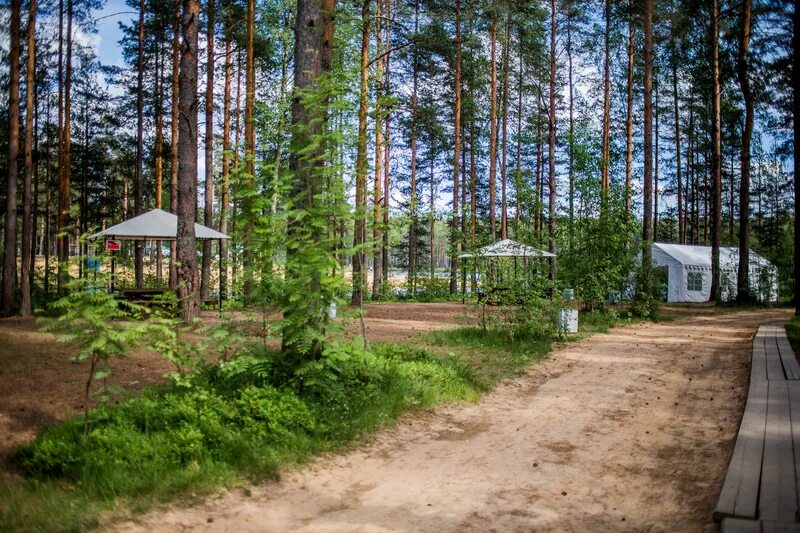 Коркинские просторы. Коркино всеволожский р н. Кп коркино армада. Коттеджный поселок в коркино всеволожский район. Коттеджный поселок коркино ленинградской области-.