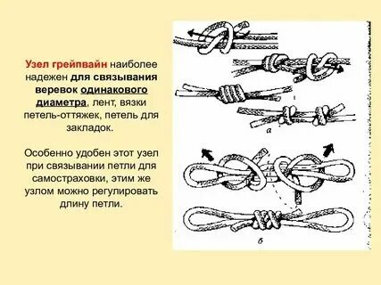 Грейпвайн узел как вязать схема Картинки СВЯЗАННЫЕ УЗЕЛКАМИ
