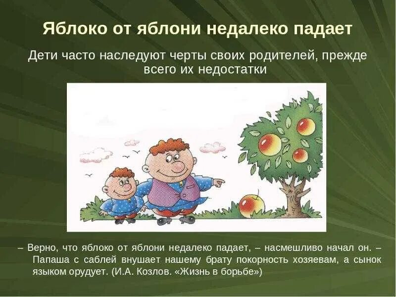 Яблоко от яблони недалеко падает. Поговорка яблоко от яблони недалеко падает. Пословица яблоко от яблони. Фразеологизм яблоко от яблони недалеко падает. Яблоня от яблони далеко не падает