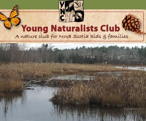 Naturalist add on. Клуб натуралистов. Клуб юных натуралистов. Природа клаб. Naturalist нейминг.