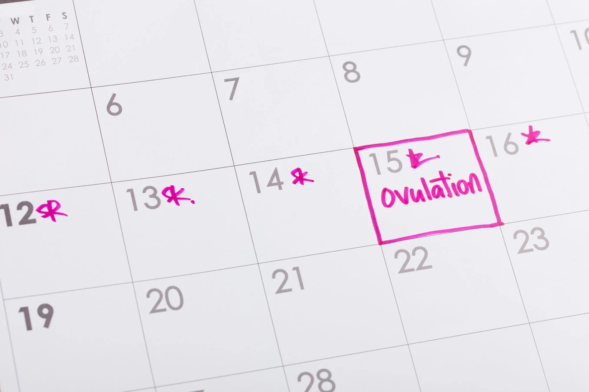 Забеременеть за 5 дней до овуляции. Календарь овуляции. How to calculate Calendar Days. Овуляция календарь 2022 для мальчиков.