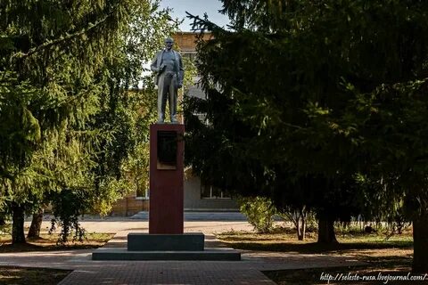 Пестравка самара