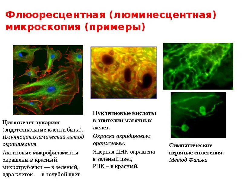 Цели микроскопии
