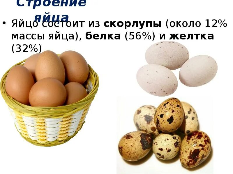 Сколько весит одно яйцо вареное без скорлупы. Сколько весит одно яйцо вареное без скорлупы