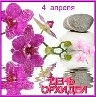 24 апреля картинки с надписями