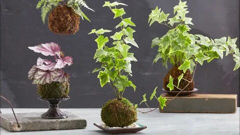 Make plants