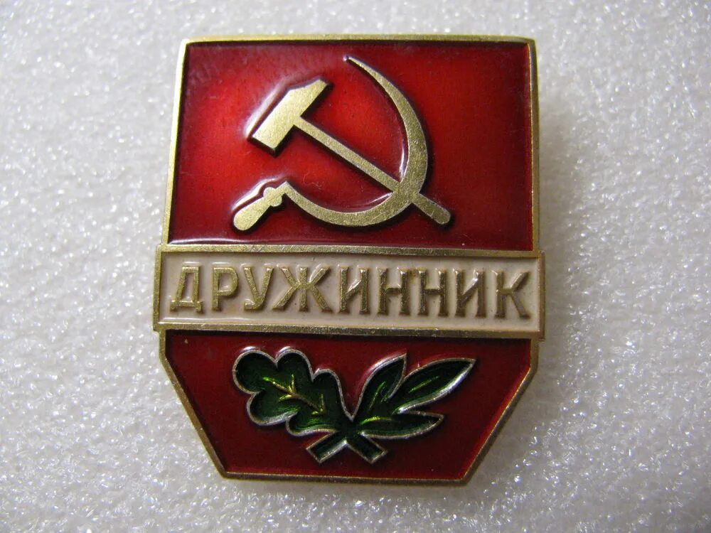 народный дружинник. народная дружина. народный дружинник. моргунов дружинник. дружинники днд.