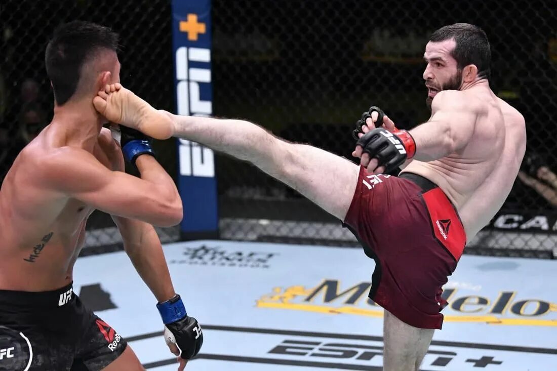 Махачев боец. Боец юфс ислам махачев. Ufc дагестан. Анкалаев нокаутировал куцелабу. Ufc дагестанец магомедшарипов.