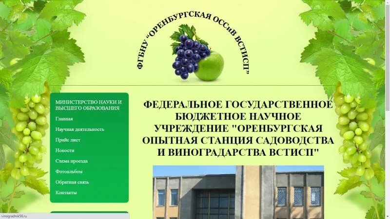 Сайт института садоводства и виноградарства краснодар. Оренбургская опытная станция садоводства и виноградарства. Оренбург станция виноградарства. Юрченко институт садоводства и виноградарства. Станция садоводства Оренбург.