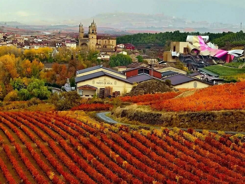 La country. Испания виноградники Риоха. Регион Риоха в Испании. Ла Риоха Испания. Провинция Риоха Испания.
