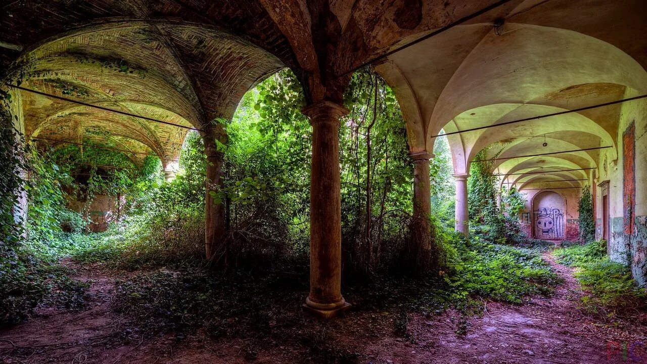 Заброшенный сад. Сад церкви святого дунстана на востоке лондон. Арка перисада крым. Заросший парк. Руины плющ арка.