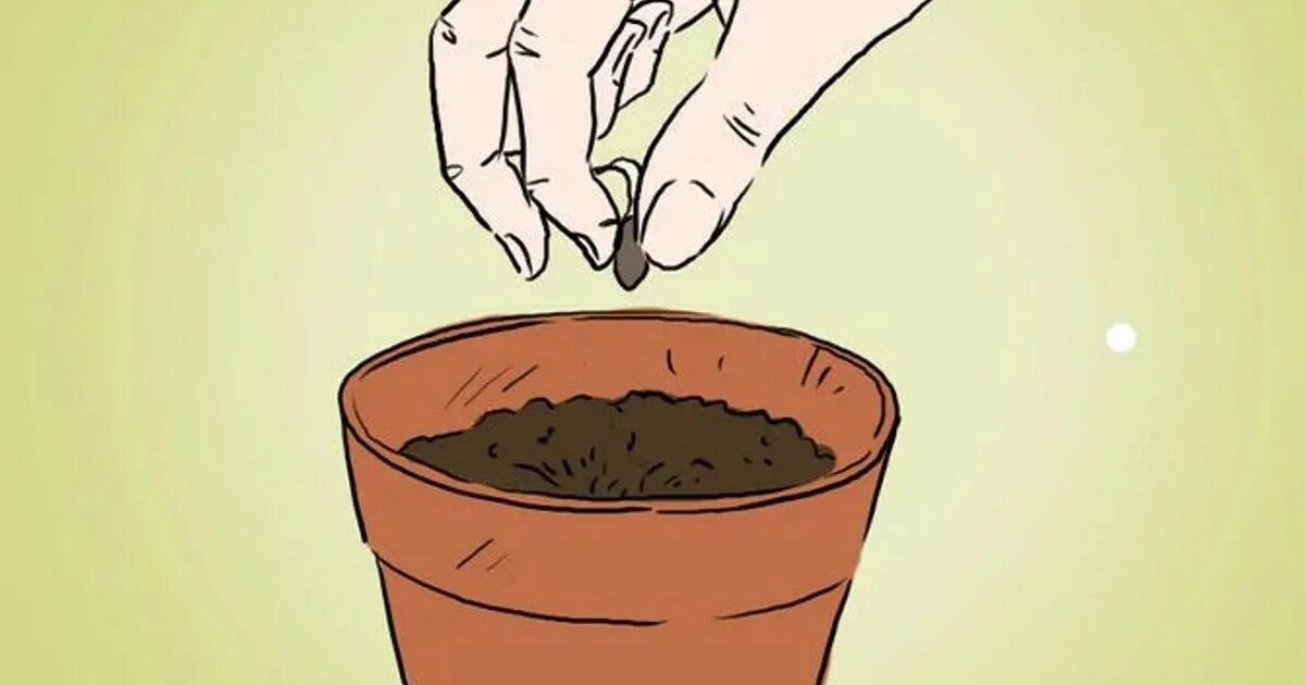 Семена для рассады. Горшочек для рассады с землей. Засеянный горшочек. Почва в горшке. Торфяные горшочки для рассады.