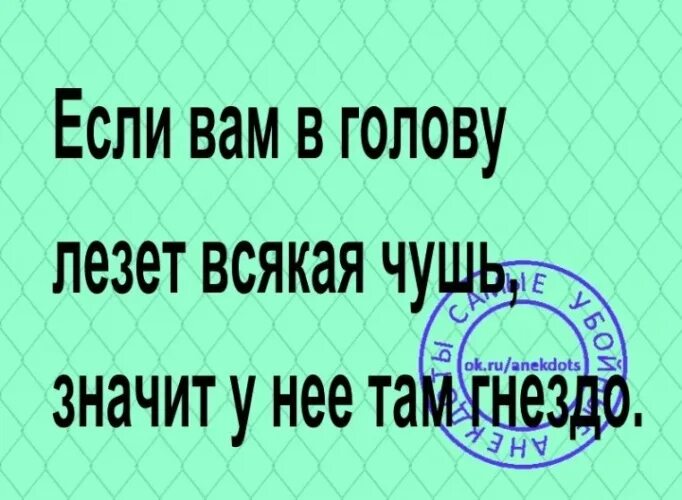 Почему несут чушь. Всякая чушь. Всякая чушь в картинках. Чушь в голове. Если вам в голову лезет всякая чушь значит у неё.