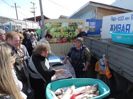 Рынок анапа время работы