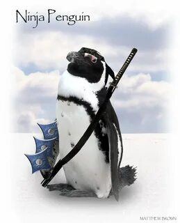 Ninja penguins