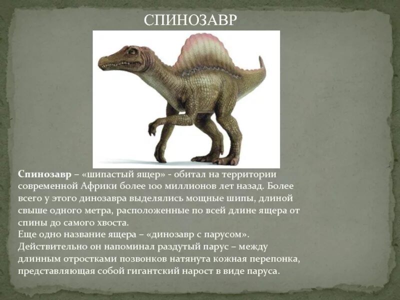 Сообщение о динозаврах 1. Спинозавр информация для детей. Спинозавр описание для детей. Спинозавр краткое описание. Динозавр Спинозавр.