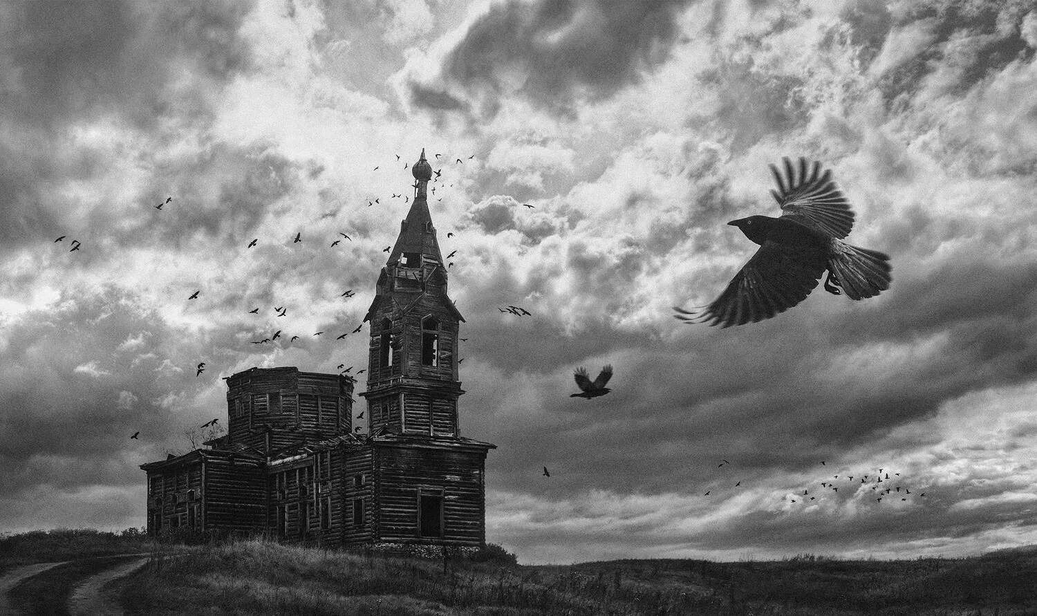 Вороны кружат в небе. Вороны над церковью. небо с воронами. вороны над храмом. птицы над храмом.