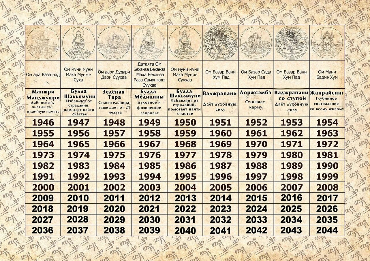 Какой год 23 2023. Какой следующий год животного 2024. 2023 Год какого. 2023 Год кого. Год кого 2021 и 2022.