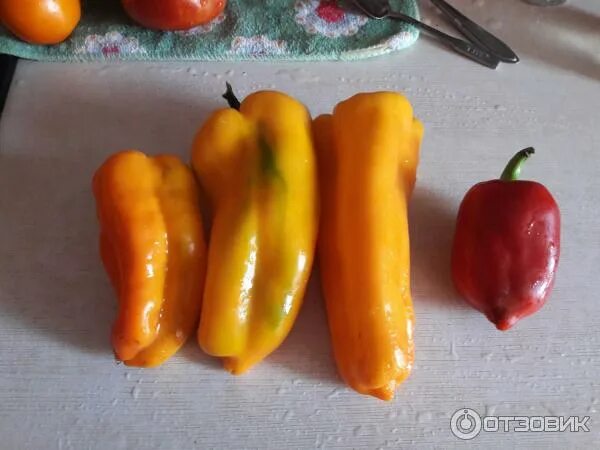Перец оранжевый бык описание сорта. Перец красный бык гавриш. Перец оранжевое чудо f1. Перец оранжевый бык гавриш. Перец оранжевый бык отзывы.