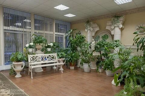 Загс колпино