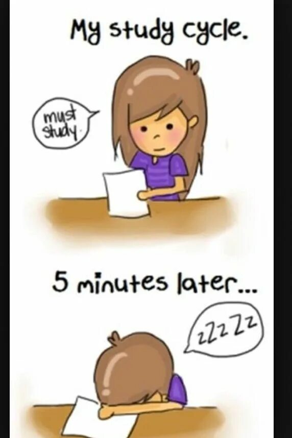 You must study. You must study. Study hard. I study hard. Memes about studying.