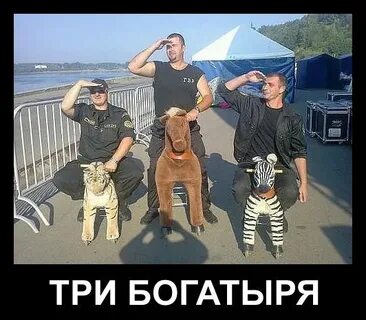 3 прикола