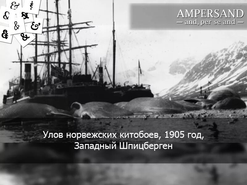 Дом китобоя. Памятник китобою владивосток. Гарпун китобоя. Песня про китобоев. Кит и охотник книга.