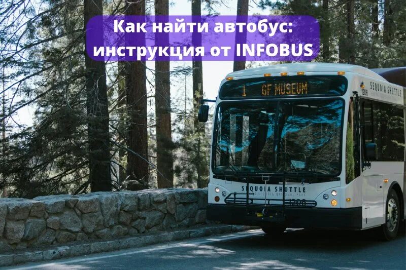 Infobus картинки. Инфобус бай. Infobus автобус. Инфобус бай. Инфобус украина.