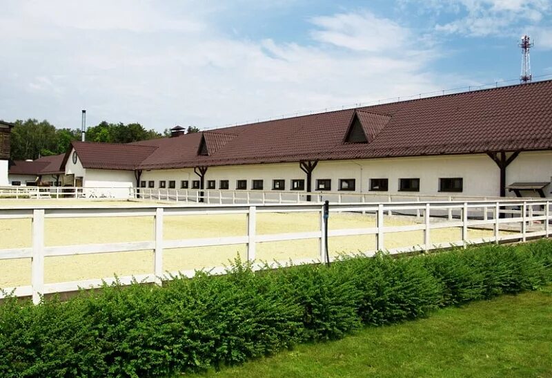 кск отрада конюшня. конный клуб отрада. кск отрада москва. отрада кск пятницкое шоссе. отрада конно спортивный комплекс.