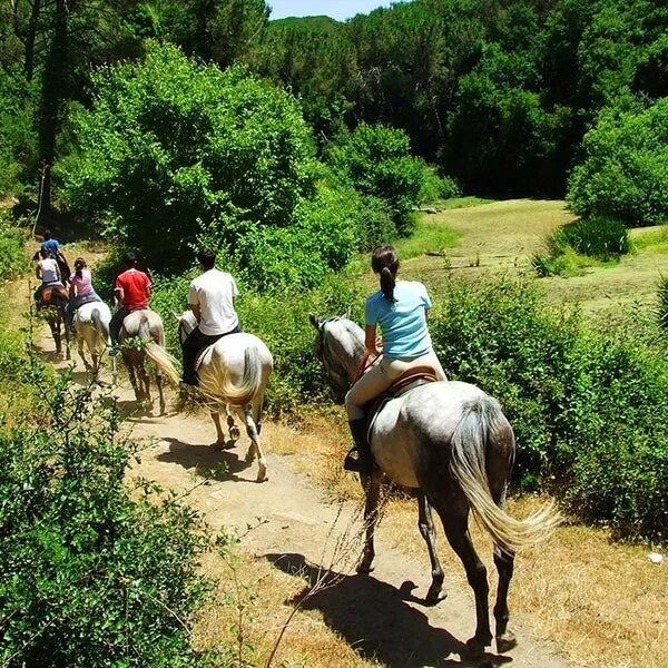 Riding camp. Конюшня enttre equuesttrre du veerlin. Ecurie d Meadowlands. Поездка в Дордогне.