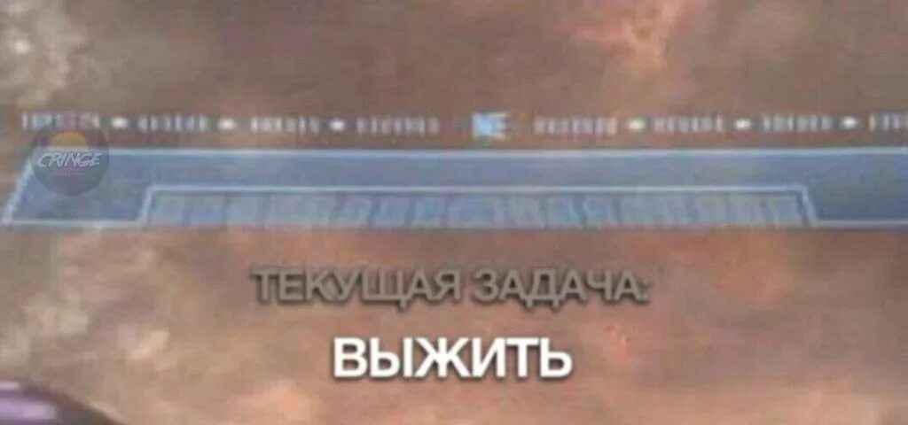 Читать задача выжить. Цель выжить. текущая задача выжить. главная задача выжить. цель выжить halo.