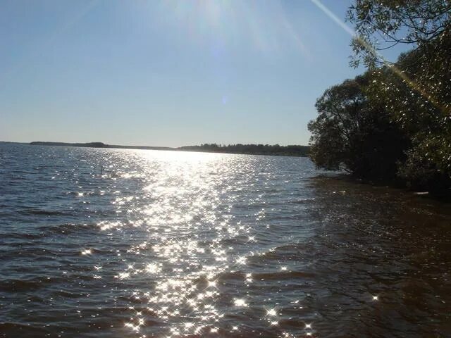 Берег реки. Астрахань волга река рыбалка. Астрахань волга река рыбалка. Рыбалка в калязине на волге. Рыбалка на берегу волги.