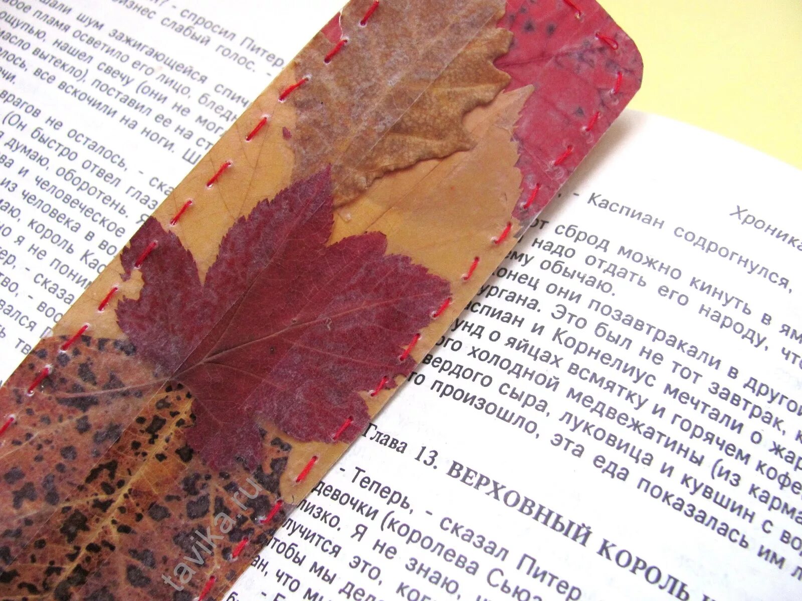 Как сделать из листьев книжку. Осенние закладки для книг. закладка для книг из природного материала. закладка из осенних листьев. закладки для книг из осенних листьев.