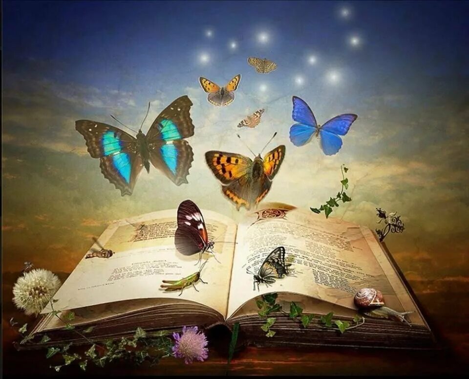 Мир удивительных книг. Мир удивительных книг