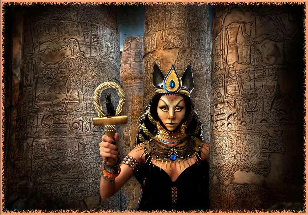 Cat cleopatra