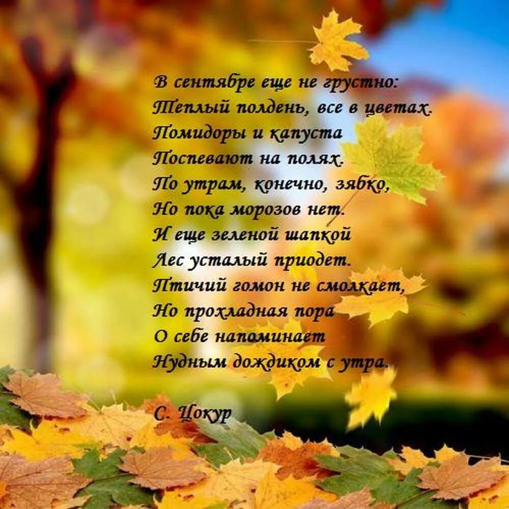 Красивые стихи 2 класс. Стихи про осень. Стихотворение про осень для детей. Осенние стихи для детей. Стихи про осень короткие и красивые.