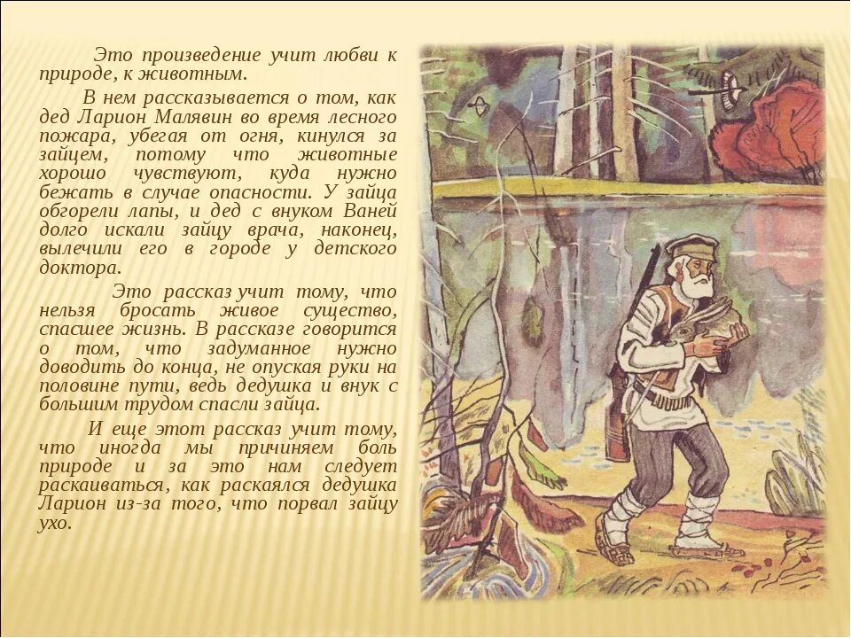 Размышляем о прочитанном 5 класс заячьи лапы. Паустовский заяц. рассказ паустовского заячьи лапы. к. г. паустовский. рассказ &quot;заячьи лапы&quot;. заячьи лапы сочинение.