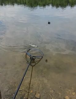Можно ли ловить рыбу экраном