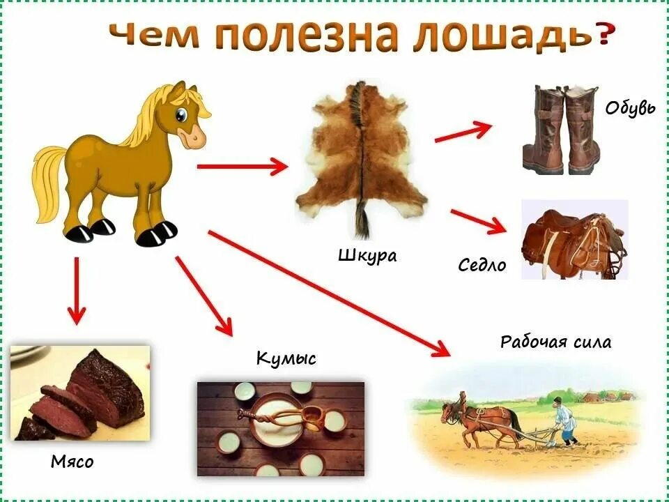 8 значений животных. Польза домашних животных. какую пользу приносят домашние животные. какую пользу приносят домашние животные человеку. польза от животных для человека.