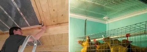 Какой обогреватель лучше в курятник