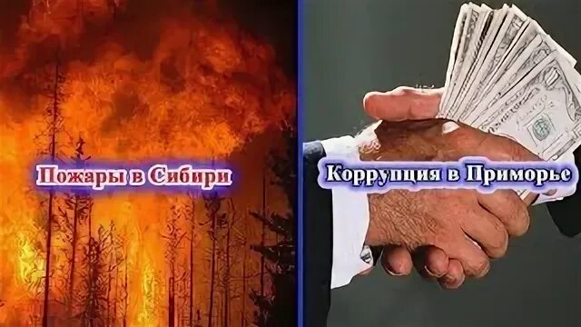 Россети сибирь взятка