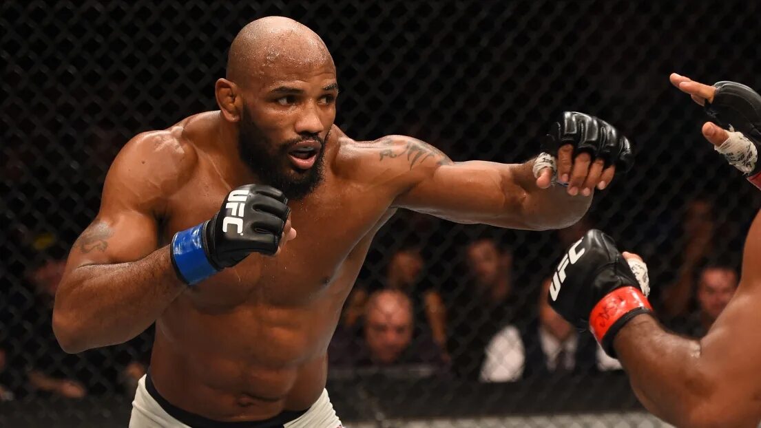 Екатерина ромеро. Йоэль ромеро. Читать книги екатерины ромеро. Ромеро лялька читать полностью. Афина и ромеро.