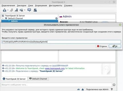 Teamspeak server docker