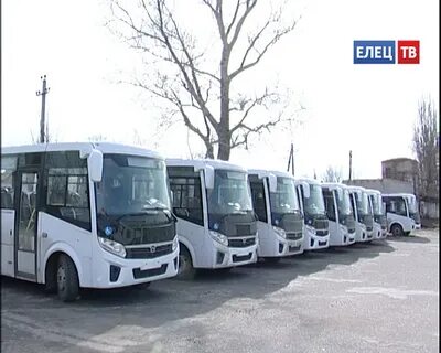 Елец автобус 20