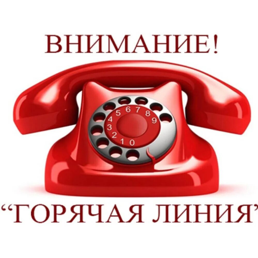 Приложение иви техподдержка. Иви телефон горячей линии бесплатный. Номер телефона горячей линии магазина. Иви горячая линия. Иви телефон горячей линии бесплатный.