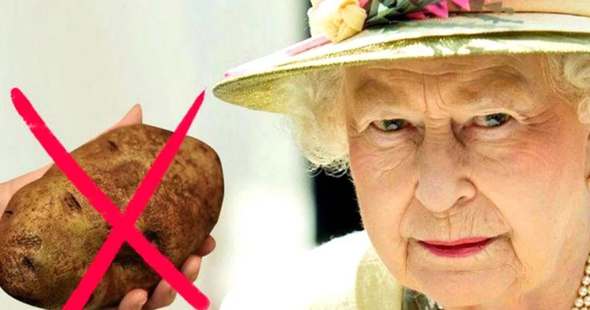 принцесса маргарет графини великобритании. чаепитие с королевой елизаветой 2. королева елизавета рептилоид. королева елизавета 2. королева елизавета 2 с бокалом.