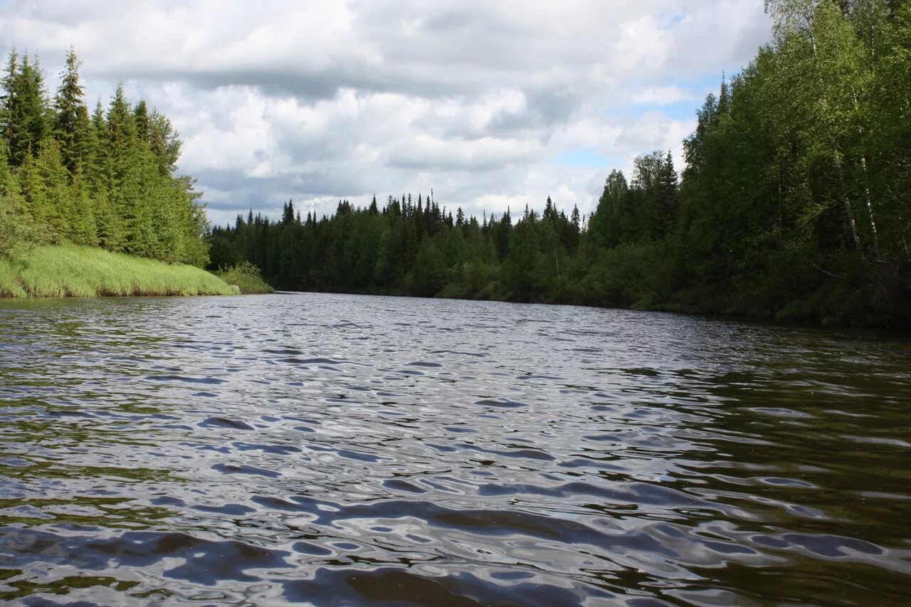 Воды рек коми. Река Вашка Республика Коми. Река Вашка Удорский район. Река Тобысь. Удорский район Республики Коми.