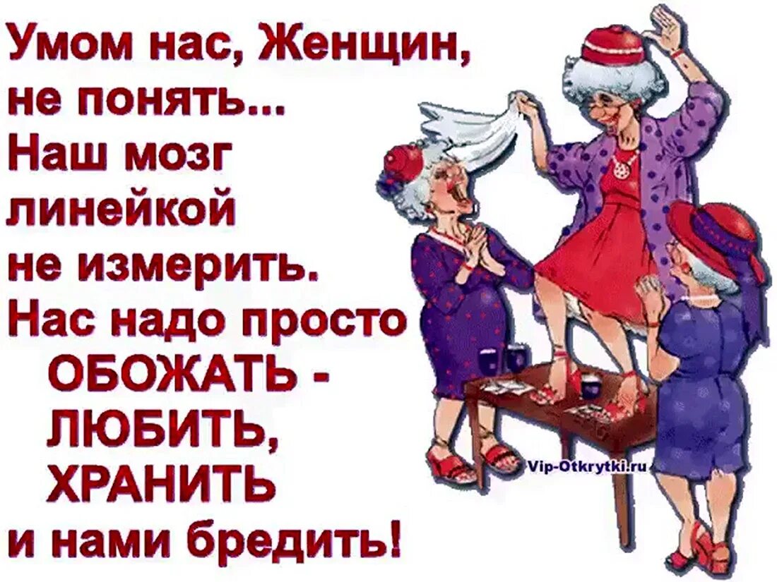 Короткие пожелания. Шуточные тосты. Прикольные поздравления подруге. Короткие пожелания. Короткие пожелания приколы.