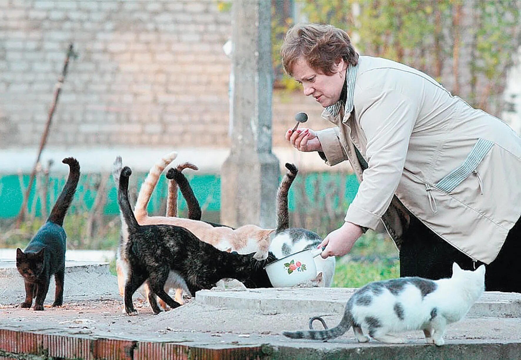Корми питомца