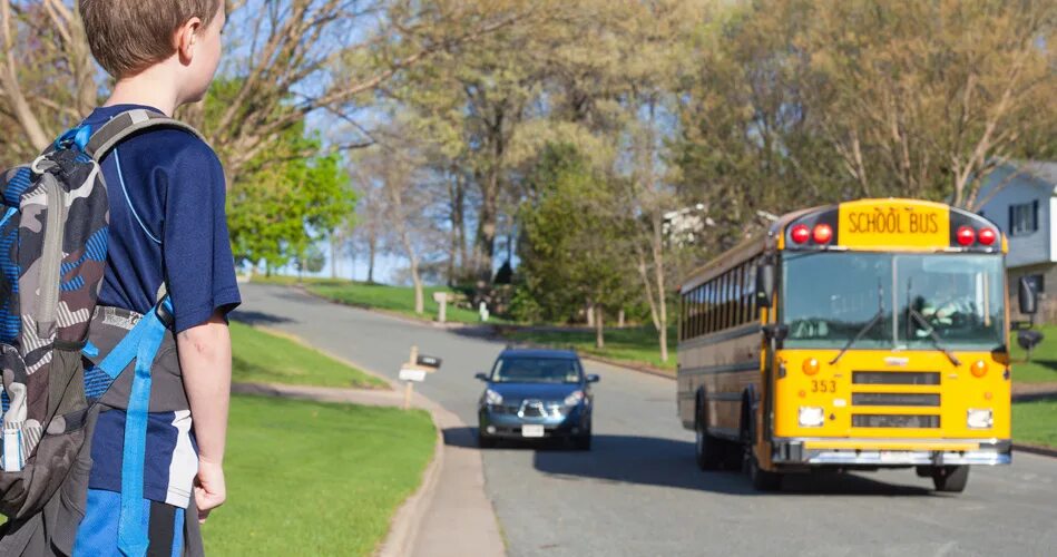 Wait for the bus
